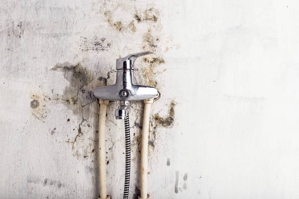 Amherst, VA Mold Removal Company
