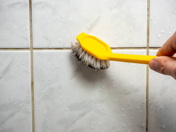Best Emergency Mold Removal  in Amherst, VA