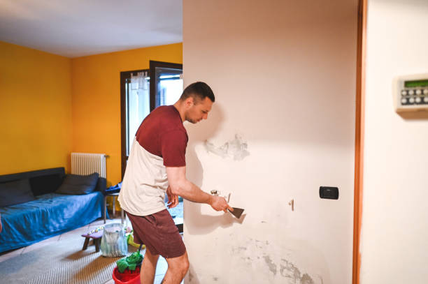 Best Crawl Space Mold Removal  in Amherst, VA